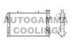 AUTOGAMMA 105645 Radiator, engine cooling